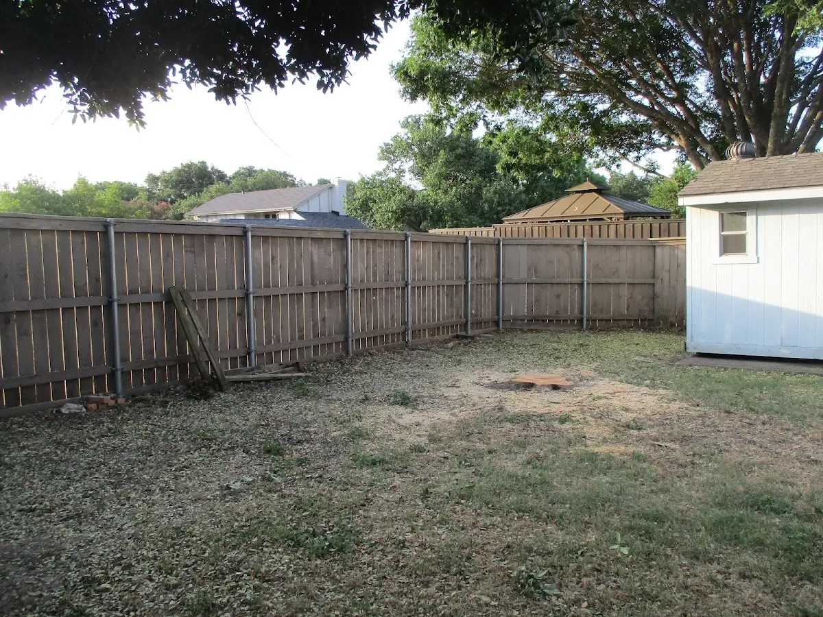 Cleared yard after professional tree removal in Gaston