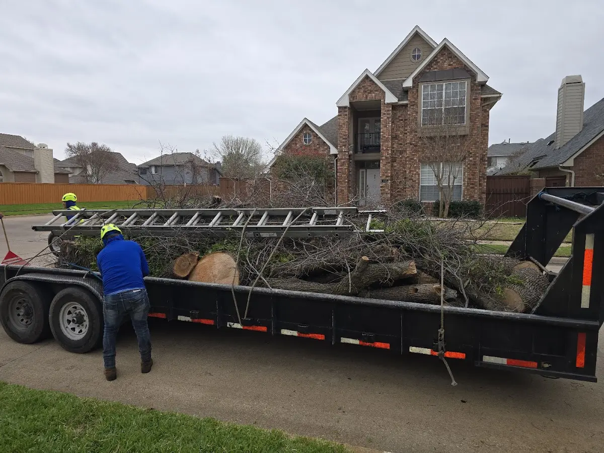 Expert Tree Removal with proper safety equipment in Gaston